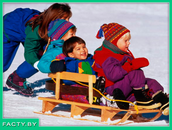 Сани Самые популярные устройства для катания по снегу и зимних гоночных забав