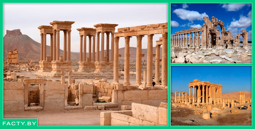 Жемчужина пустыни Пальмира интересные факты