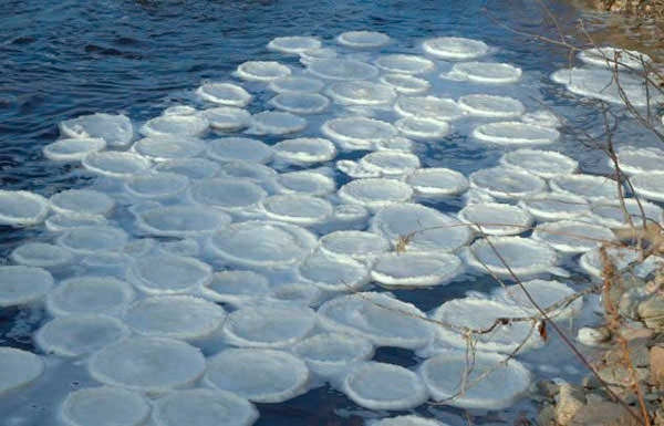 Необычные зимние явления природы лед в виде блинчиков
