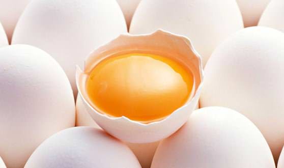 Состав яйца - скорлупа, белок и желток