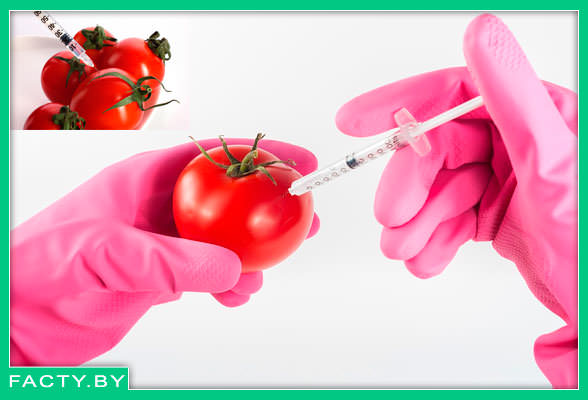ГМО содержат вредную для человека химию