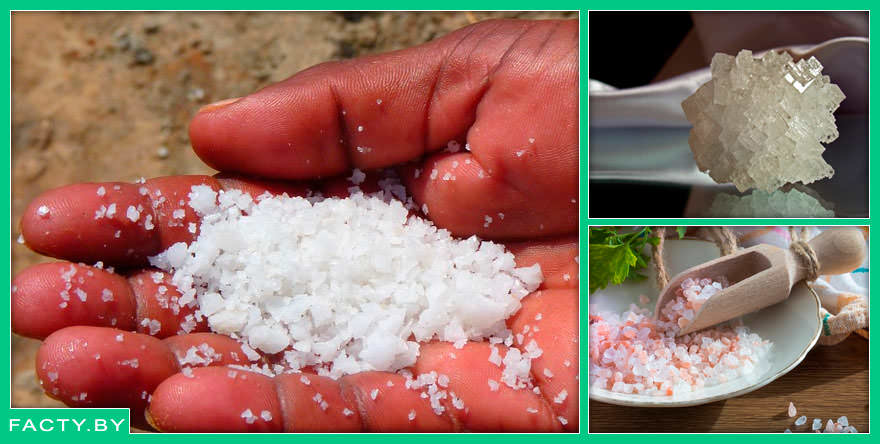 Интересные исторические факты про соль