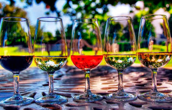 Разные виды вина в бокалах