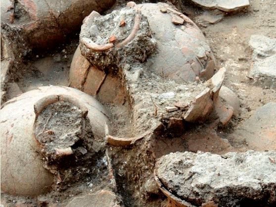 Вино возрастом 2000 лет найденное при раскопках 