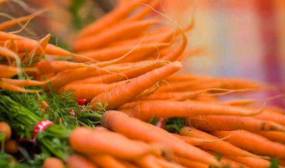 Морковь содержит фитонциды 