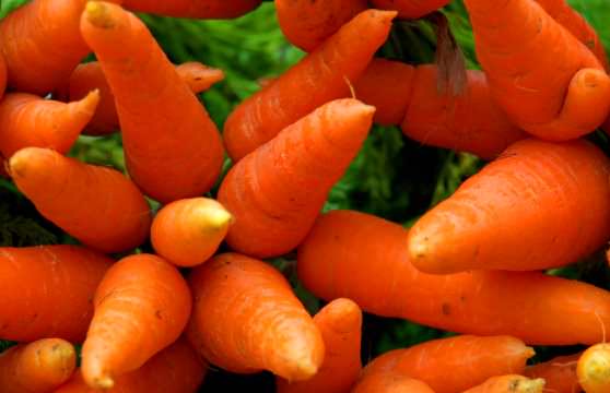 Можно укрепить глазную сетчатку если есть морковь