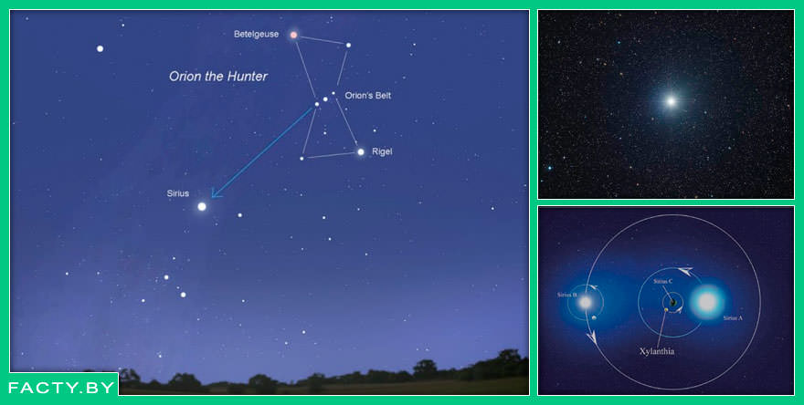фото расположения звезды Сириус в созвездии Орион