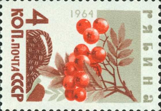Почтовая марка с изображением рябины 