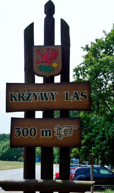 Табличка в Польше оповещающая о лесе с кривыми деревьями