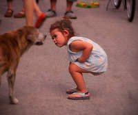 любознательная девочка заглядывает собаке в глаза