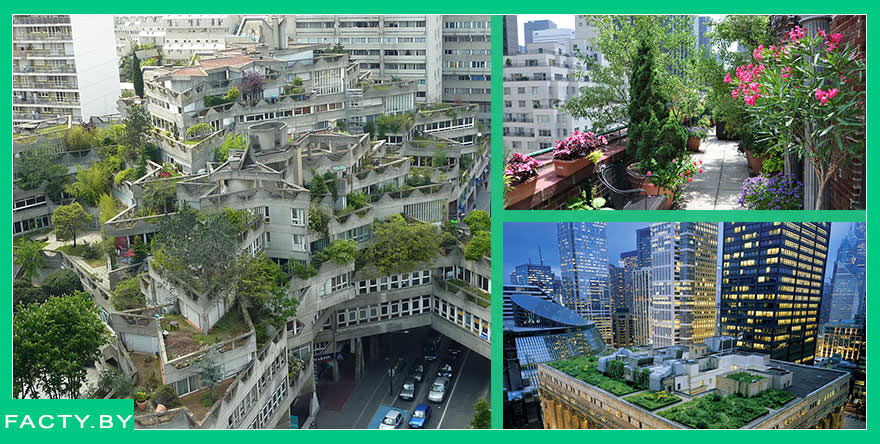 Мегаполис и природа: интересные факты о способах озеленения высотных домов