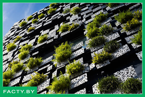Озеленение здания в Японии