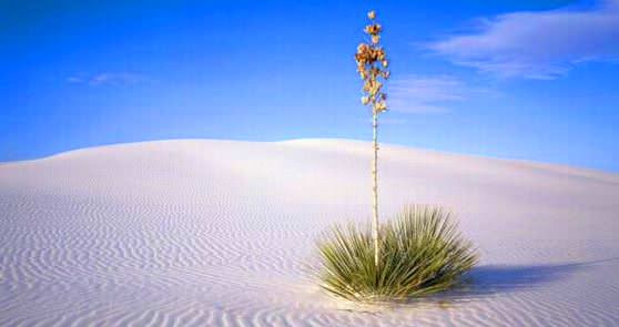 Песок в пустыне