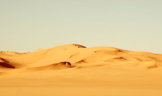 Желтый выжженный солнцем песок в пустыне