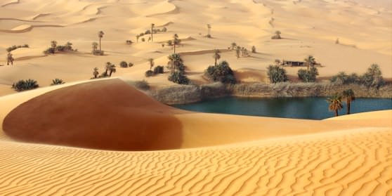 Озеро всплывшее на поверхность пустыни Сахара образовало оазис 