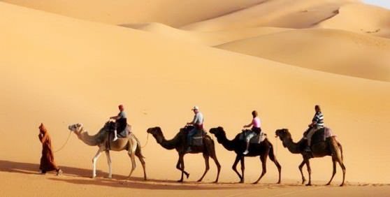 Караваны идущие по пустыне Сахара 