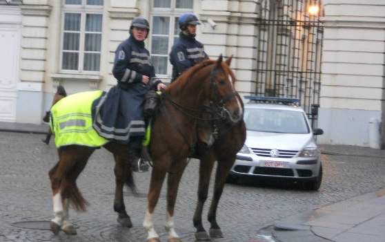 Полицейские на конях в Бельгии защищают законы