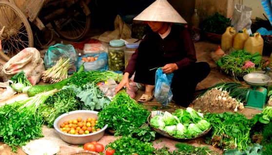 Женщина вьетнамка торгует зеленью 