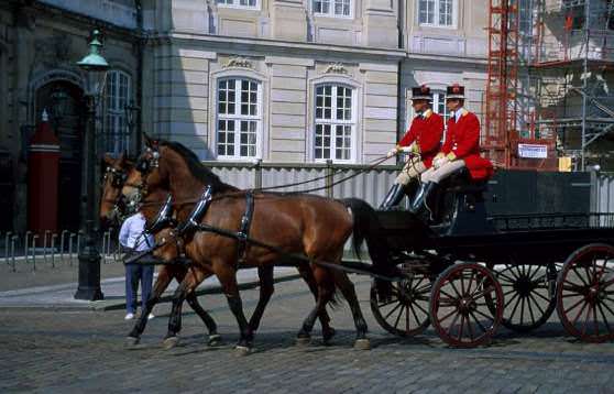 Повозка с лошадьми в Дании 