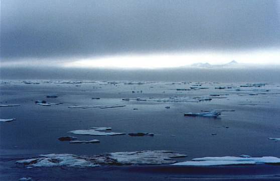 интересные факты о Северном Ледовитом океане