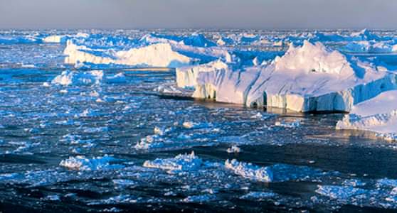 Северный Ледовитый океан наиболее «богат» айсбергами и ледниками