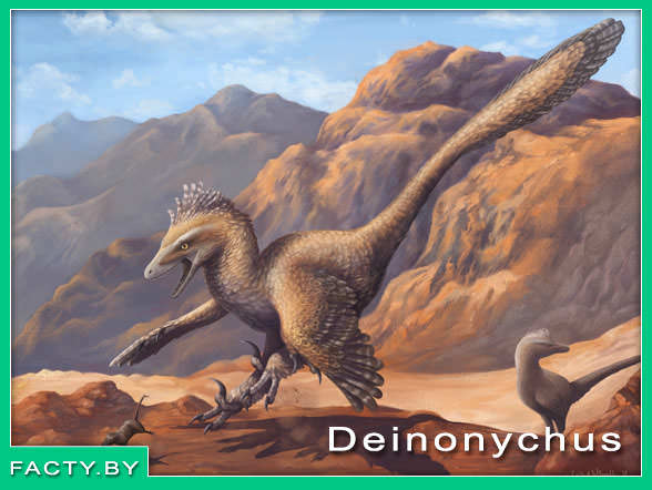 Имя: Deinonychus динозавр 