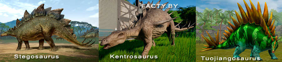 большие динозавры Stegosaurus, Kentrosaurus, Tuojiangosaurus