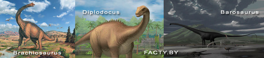Длинные шеи динозавры  Brachiosaurus, Diplodocus, Barosaurus