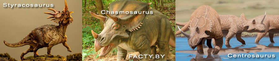 Травоядные динозавры Styracosaurus, Chasmosaurus, Centrosaurus