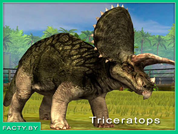 Имя: Triceratops динозавр