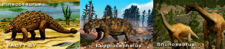 Травоядные динозавры Pinacosaurus, Euoplocephalus, Shunosaurus, Ankylosaurus