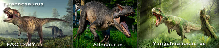 Травоядные  динозавры Tyrannosaurus, Allosaurus, Yangchuanosaurus