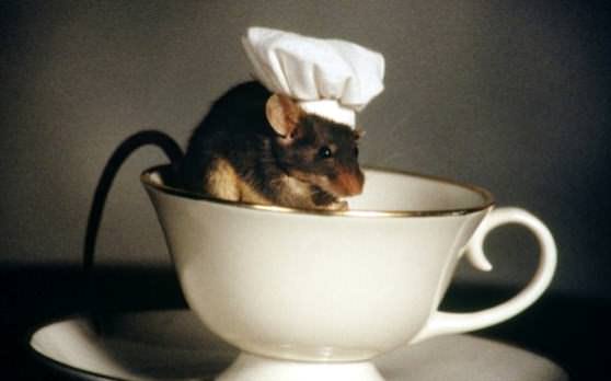 Мышь сидит в чашке из под чая
