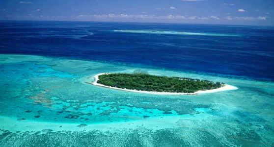 Коралловый остров 