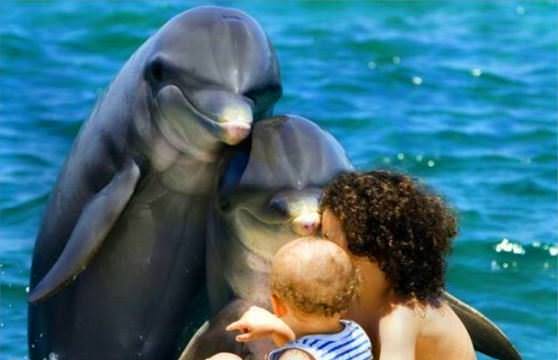 Дельфины лечат людей 