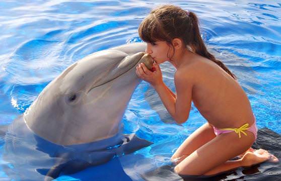 У дельфинов очень гладкая кожа, девочка целует дельфина