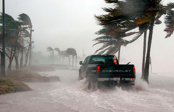 Сильный ураган ломает деревья и сносит автомобили