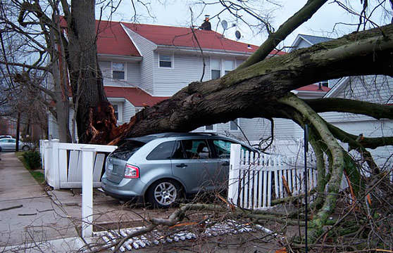 Тысячи разрушенных домов и поваленных деревьев после урагана 