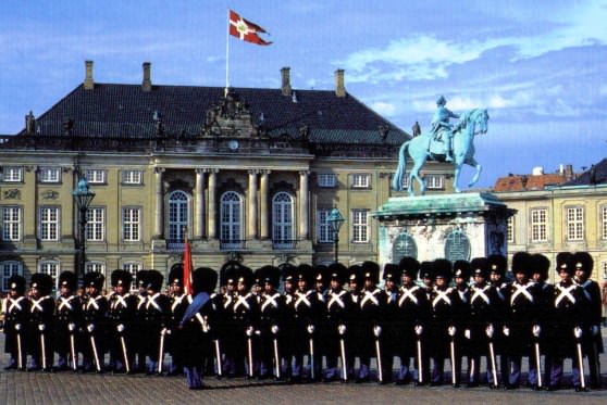 Солдаты Дании