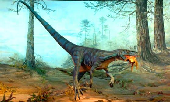 Динозавр Eoraptor lunensis