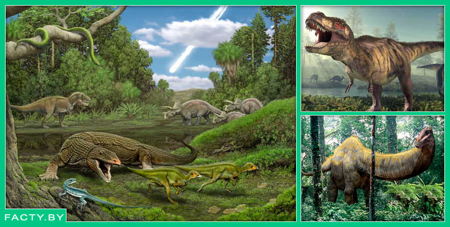 Интересные факты о видах динозавров